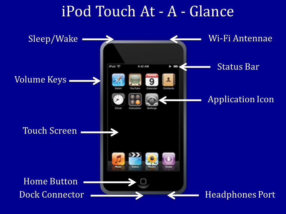 iPod Touch At - A - Glance Sleep/Wake Wi-Fi Antennae Status Bar Application Icon Headphones PortDock Connector Home Button Touch Screen Volume Keys
