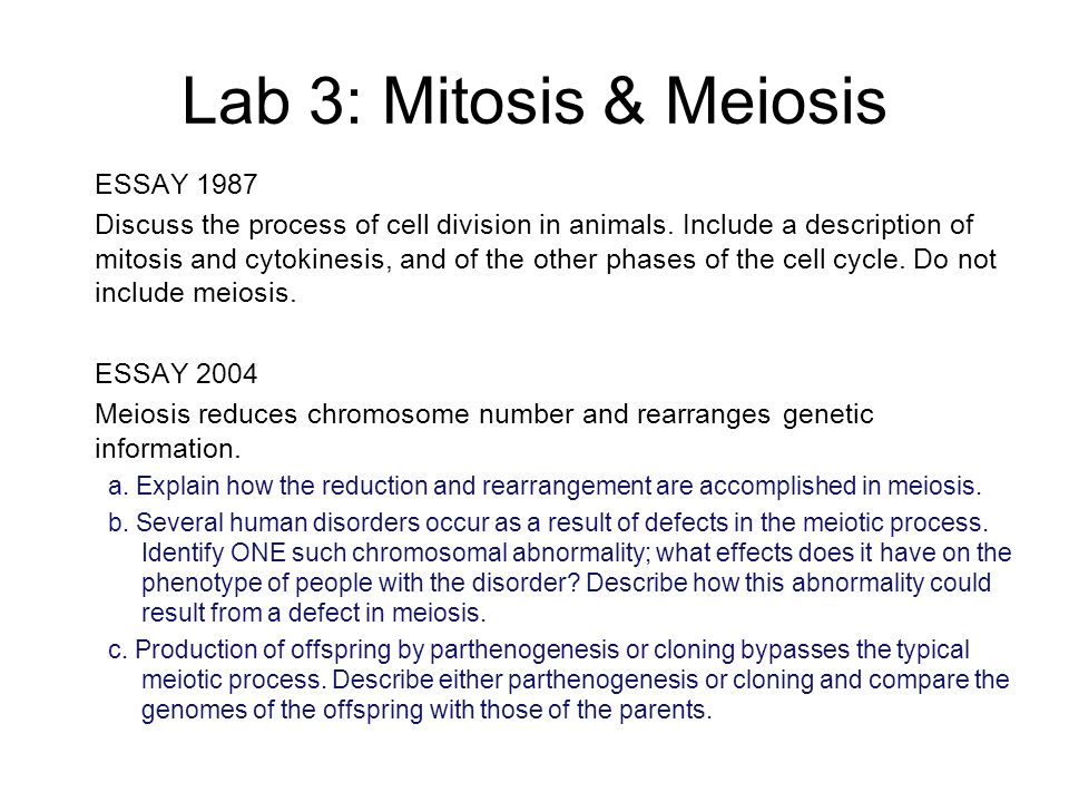Реферат: Mitosis Meiosis Essay Research Paper Mitosis evolved