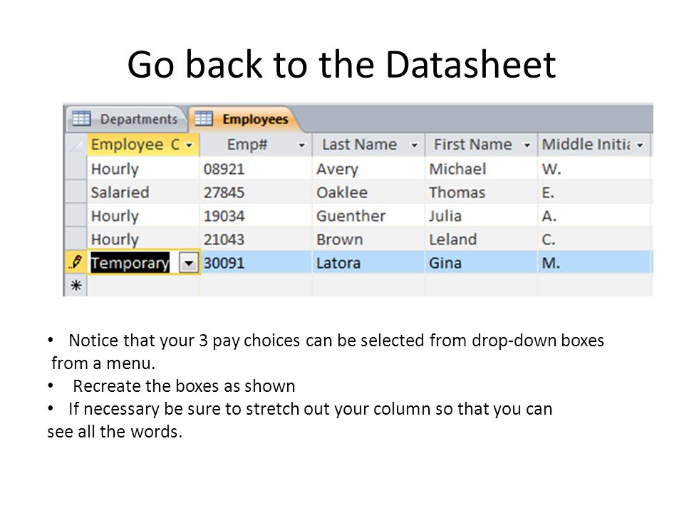 Go back to the Datasheet Notice that your 3 pay choices can be selected from drop-down boxes from a menu.