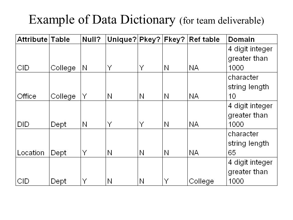 Example of Data Dictionary (for team deliverable)