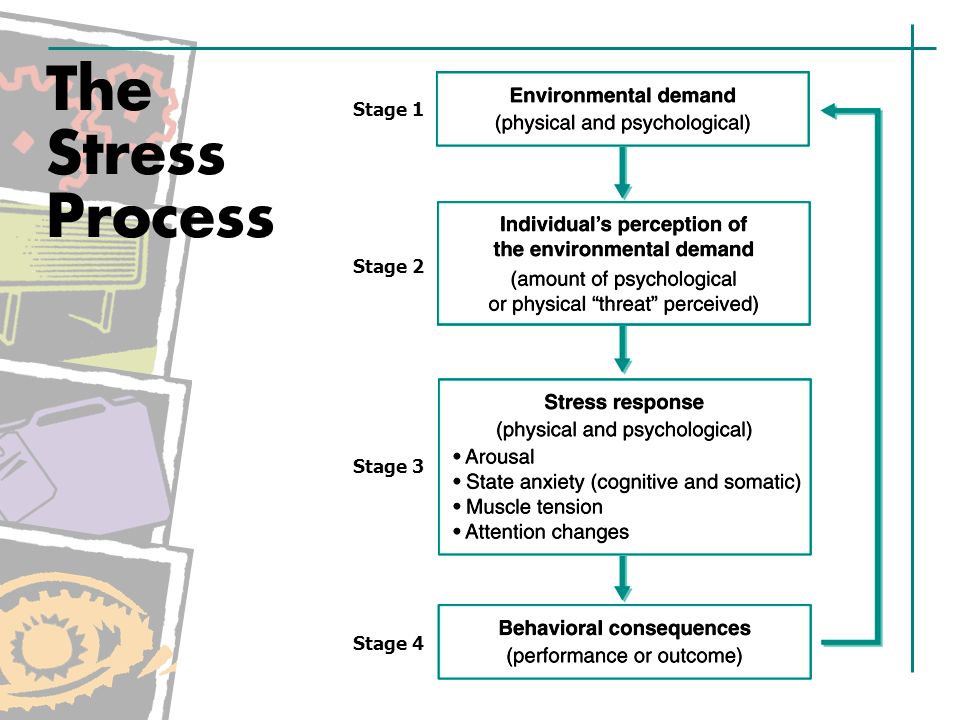 the stages of stress