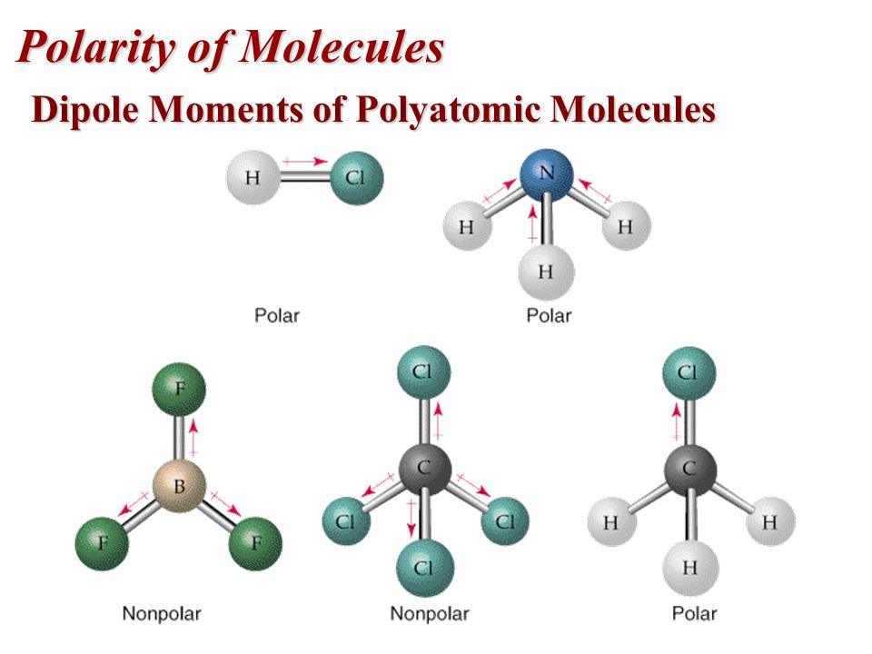 Polarity of Molecules Dipole Moments of Polyatomic Molecules Example: in CO...
