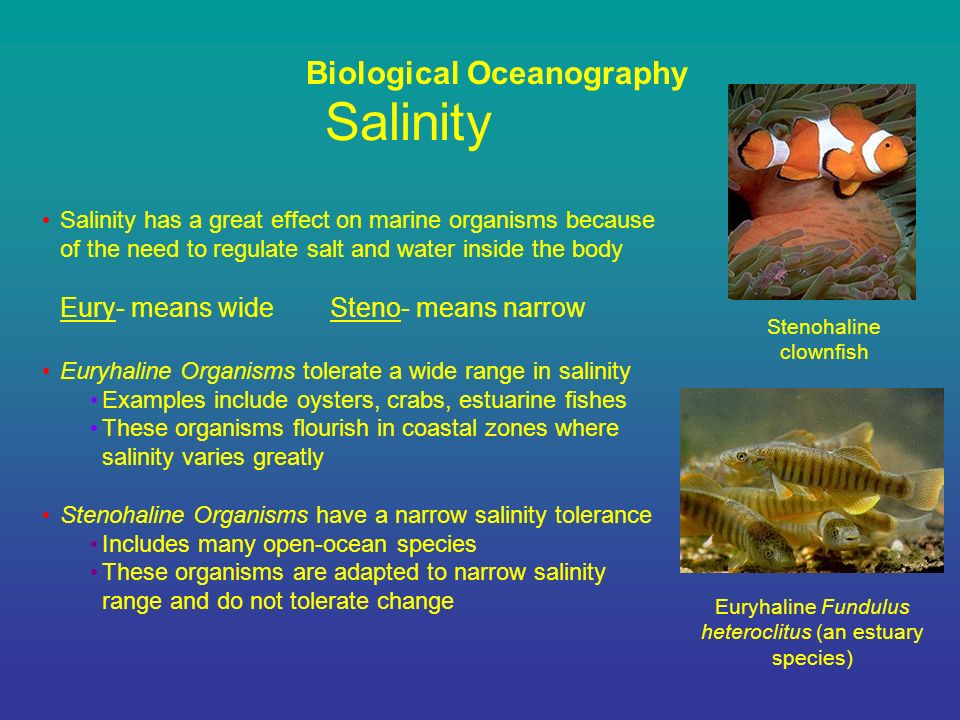 SCM 330 Ocean Discovery through Technology Area F GE. - ppt download