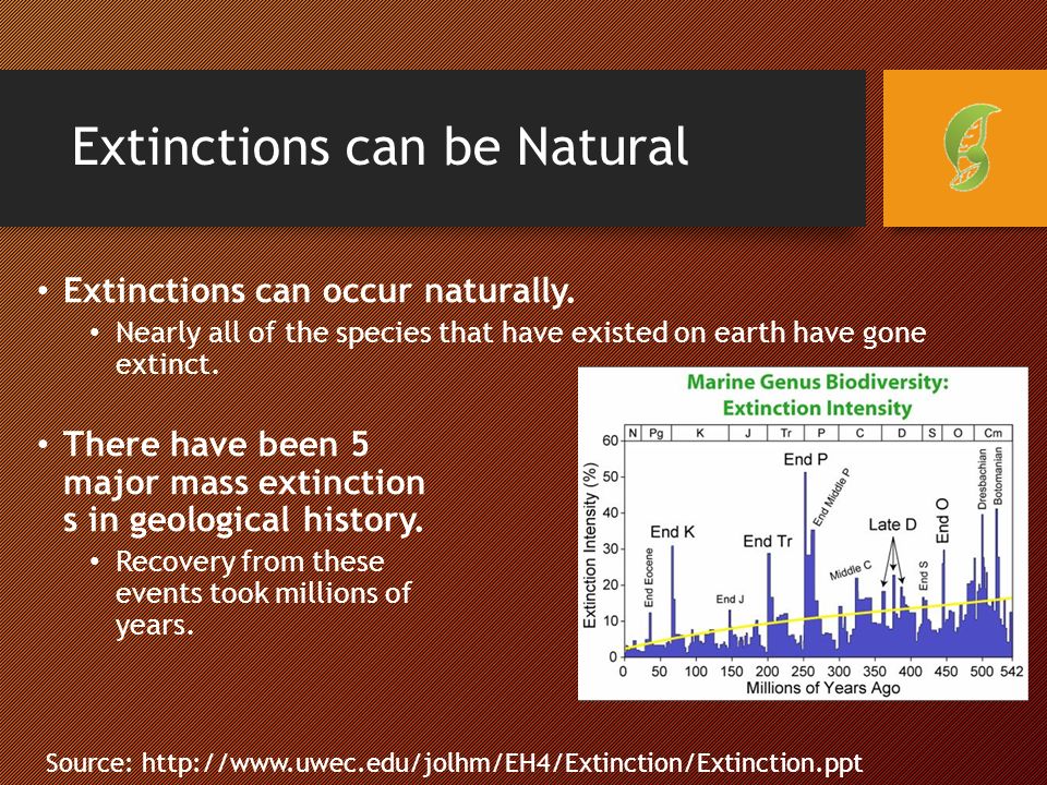 Extinctions can be Natural Extinctions can occur naturally.