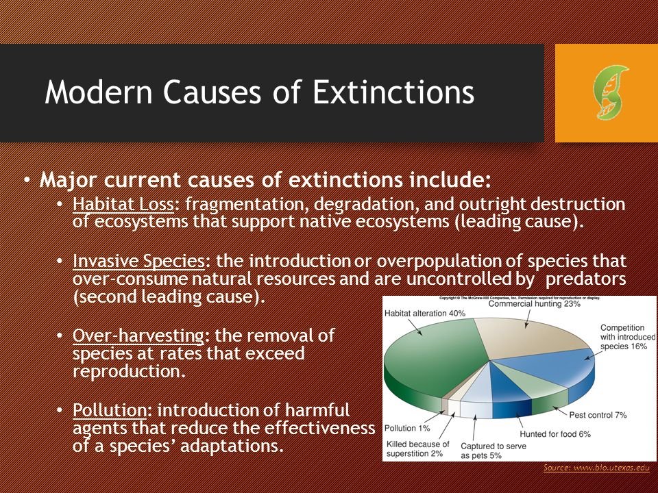 Modern Causes of Extinctions Major current causes of extinctions include: Habitat Loss: fragmentation, degradation, and outright destruction of ecosystems that support native ecosystems (leading cause).
