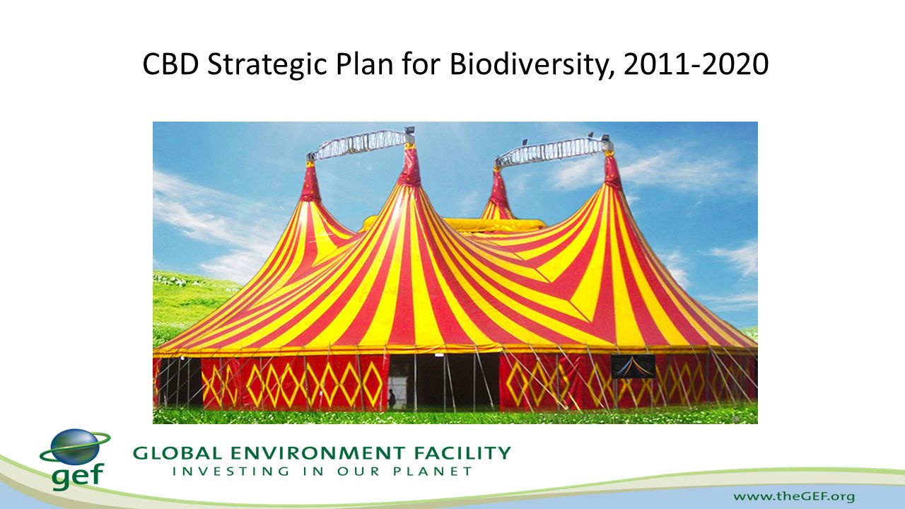 CBD Strategic Plan for Biodiversity,