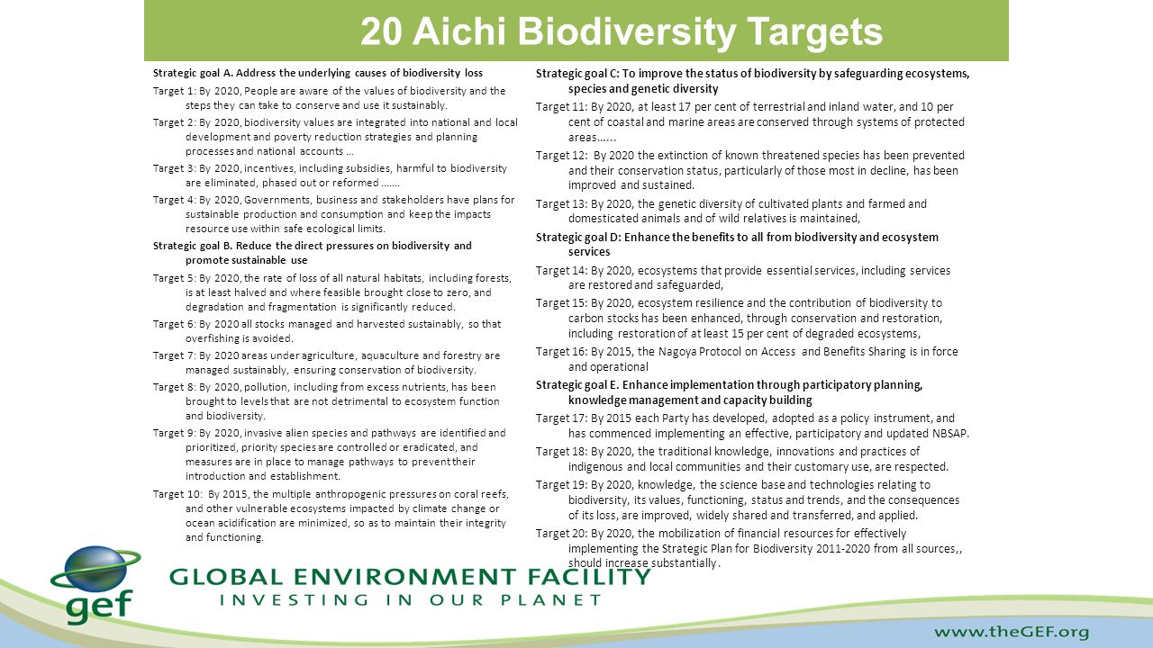 20 Aichi Biodiversity Targets Strategic goal A.