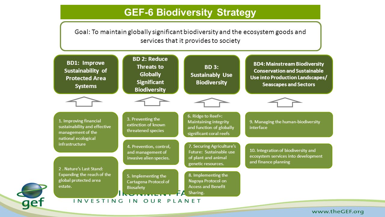 GEF-6 Biodiversity Strategy 10.