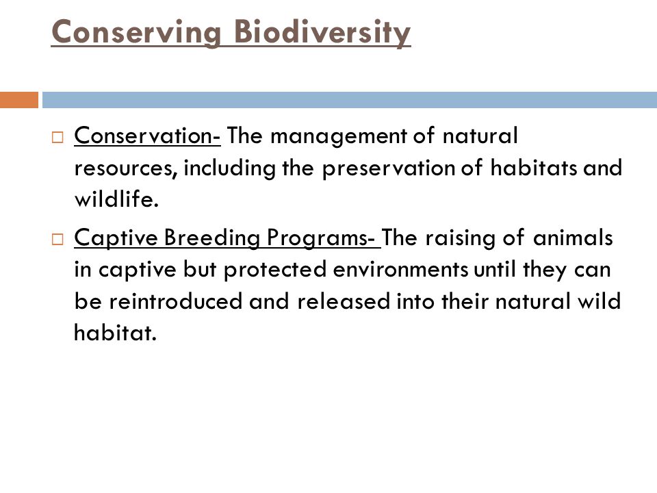 Conserving Biodiversity  Conservation- The management of natural resources, including the preservation of habitats and wildlife.