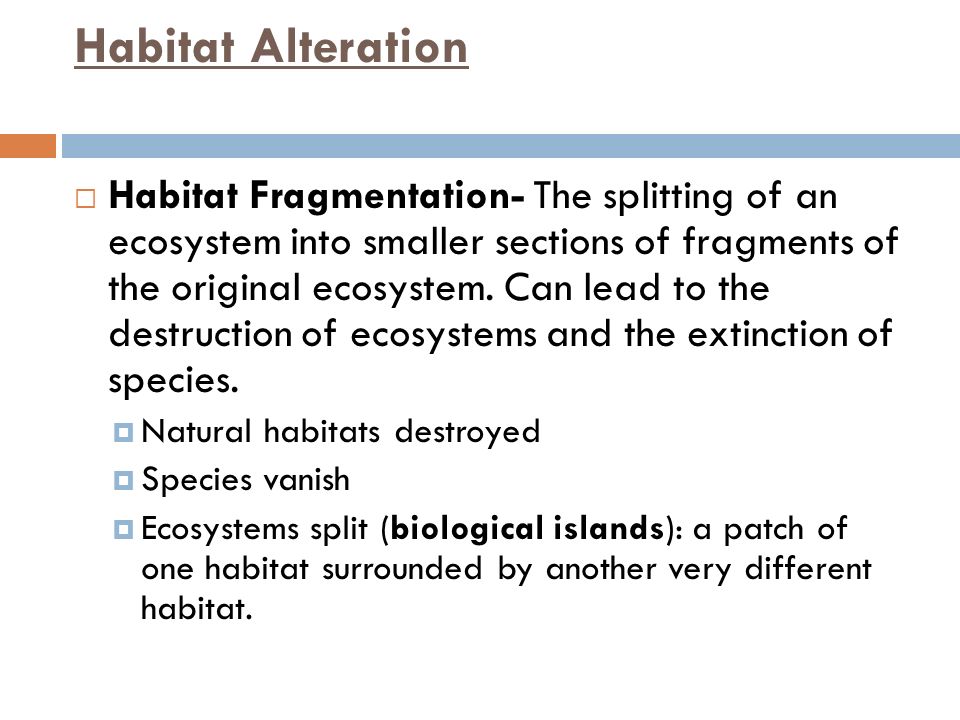 Habitat Alteration  Habitat Fragmentation- The splitting of an ecosystem into smaller sections of fragments of the original ecosystem.