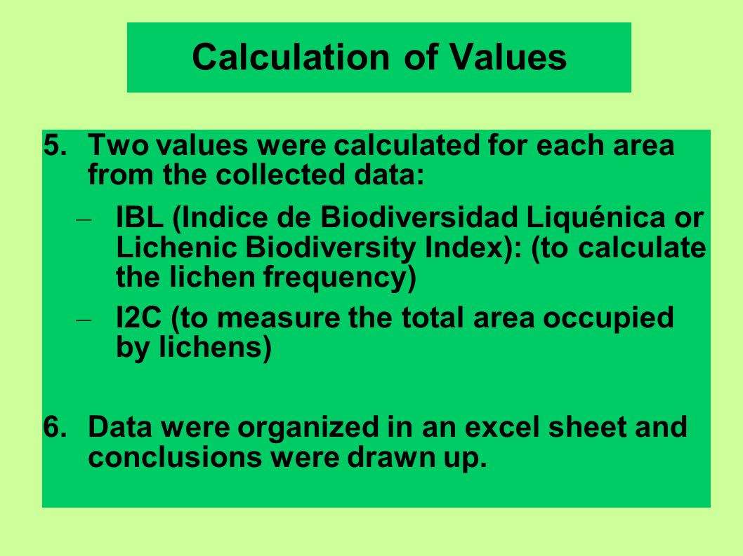 Calculation of Values 5.Two values were calculated for each area from the collected data: – IBL (Indice de Biodiversidad Liquénica or Lichenic Biodiversity Index): (to calculate the lichen frequency) – I2C (to measure the total area occupied by lichens) 6.Data were organized in an excel sheet and conclusions were drawn up.