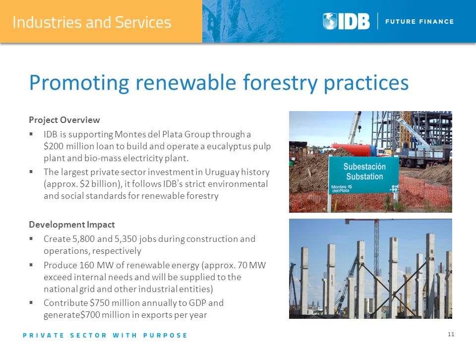 11 Promoting renewable forestry practices Project Overview  IDB is supporting Montes del Plata Group through a $200 million loan to build and operate a eucalyptus pulp plant and bio-mass electricity plant.