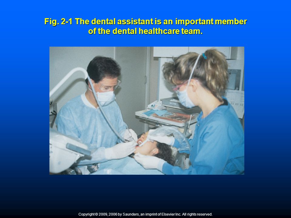 Chapter 2 the professional dental assistant fill in the blank The Professional Dental Assistant Chapter 2 Copyright C 2009 2006 By Saunders An Imprint Of Elsevier Inc All Rights Reserved Ppt Download