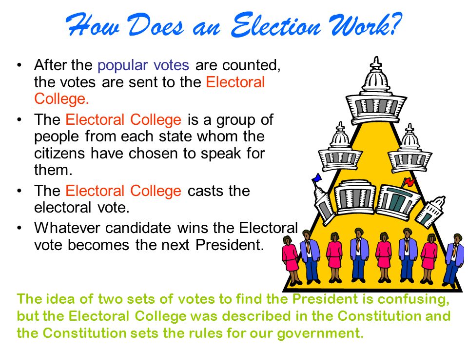 After the popular votes are counted, the votes are sent to the Electoral College.