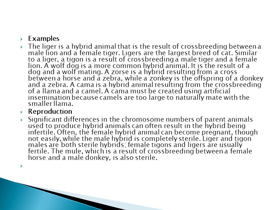 Hybrid Animals.  A Hybrid is a mating of two different species  Mutants  are natural variations that occur due to spontaneous genetic changes or  the. - ppt download