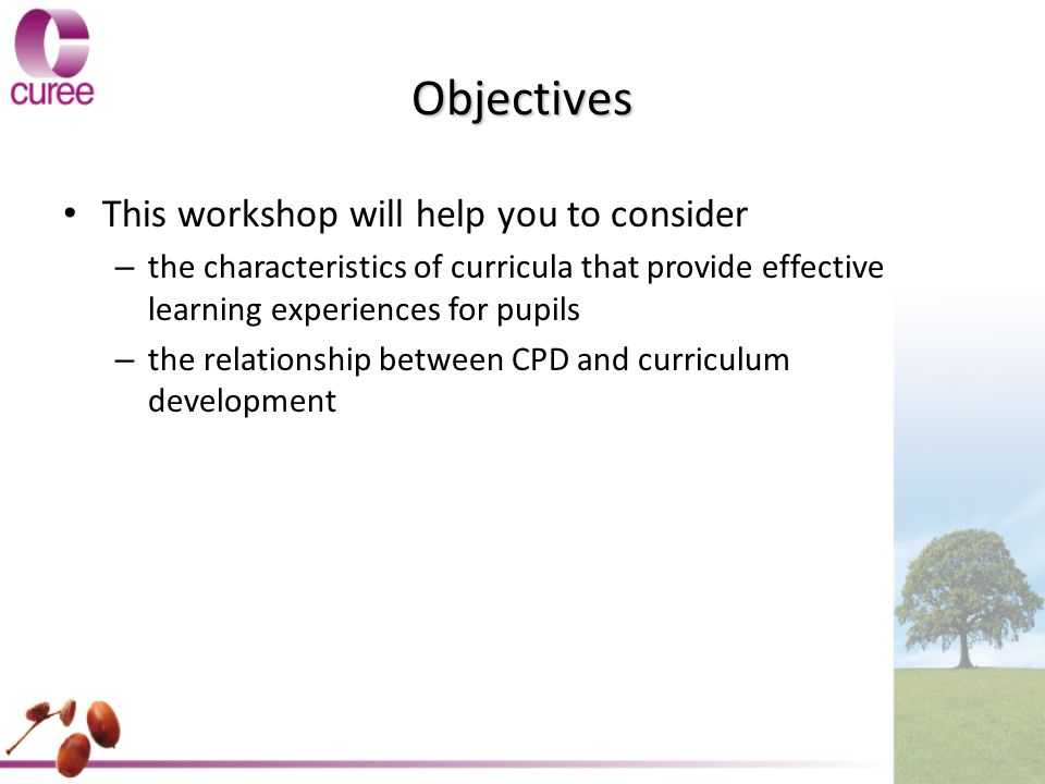Objectives This workshop will help you to consider – the characteristics of curricula that provide effective learning experiences for pupils – the relationship between CPD and curriculum development