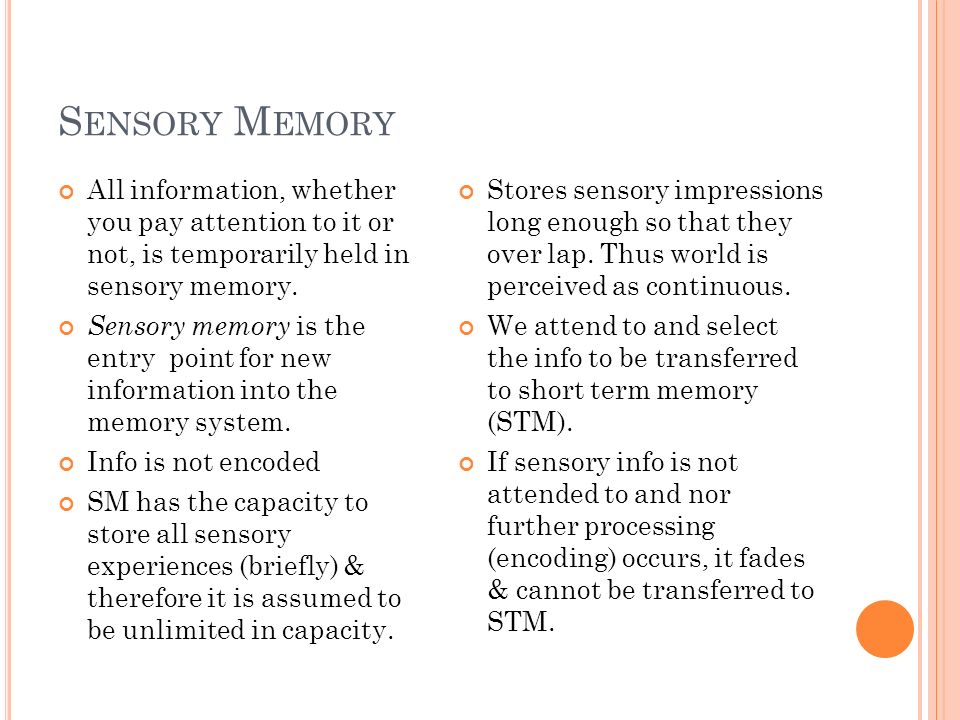 S ENSORY M EMORY All information, whether you pay attention to it or not, is temporarily held in sensory memory.