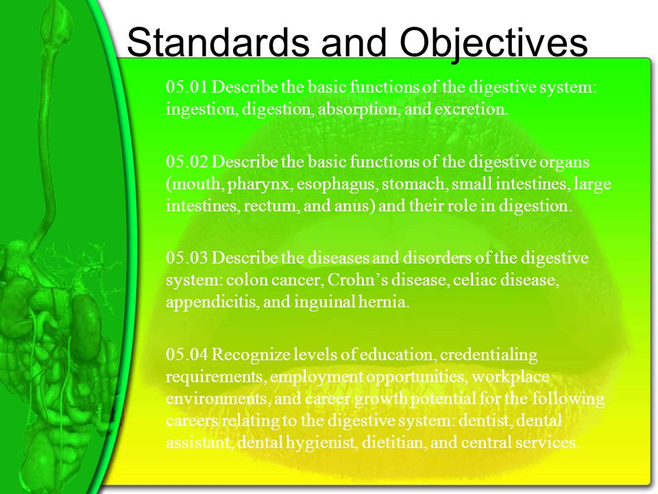 Standards and Objectives Describe the basic functions of the digestive system: ingestion, digestion, absorption, and excretion.
