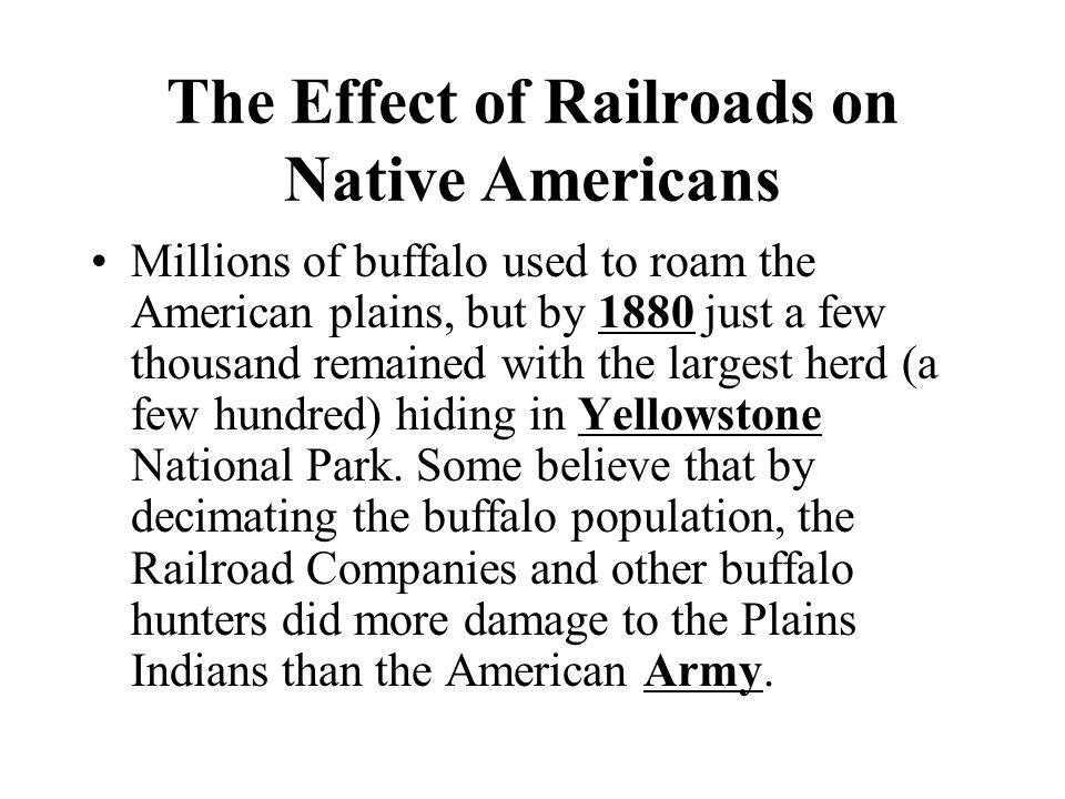 The Effect of Railroads on Native Americans Millions of buffalo used to roam the American plains, but by 1880 just a few thousand remained with the largest herd (a few hundred) hiding in Yellowstone National Park.
