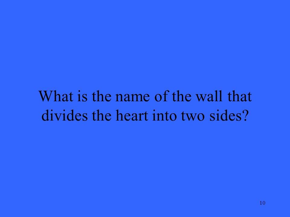 10 What is the name of the wall that divides the heart into two sides
