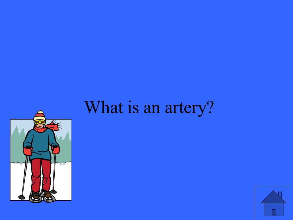 13 What is an artery