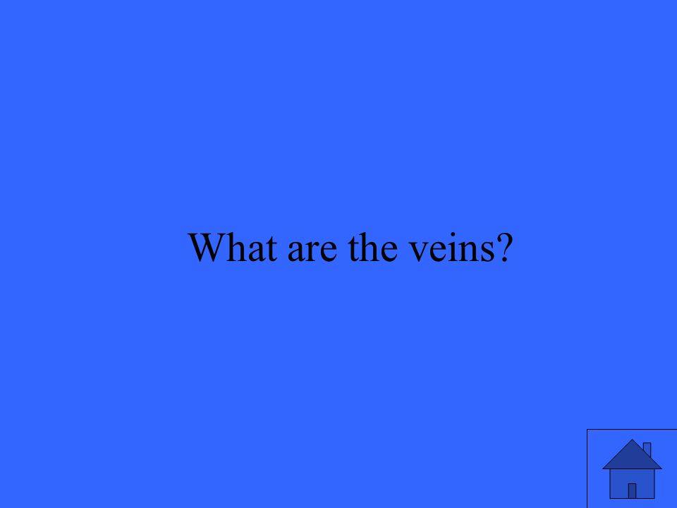 15 What are the veins