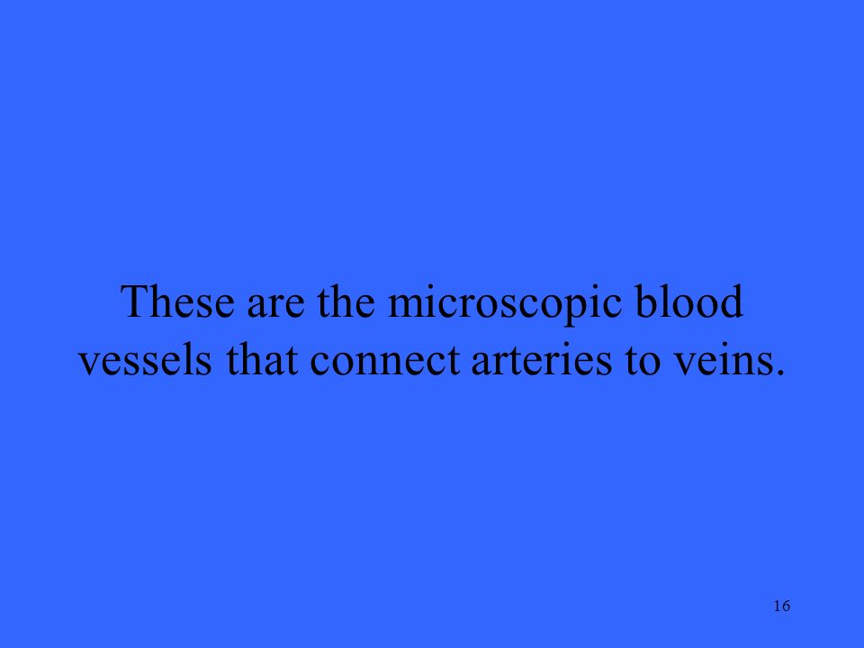 16 These are the microscopic blood vessels that connect arteries to veins.