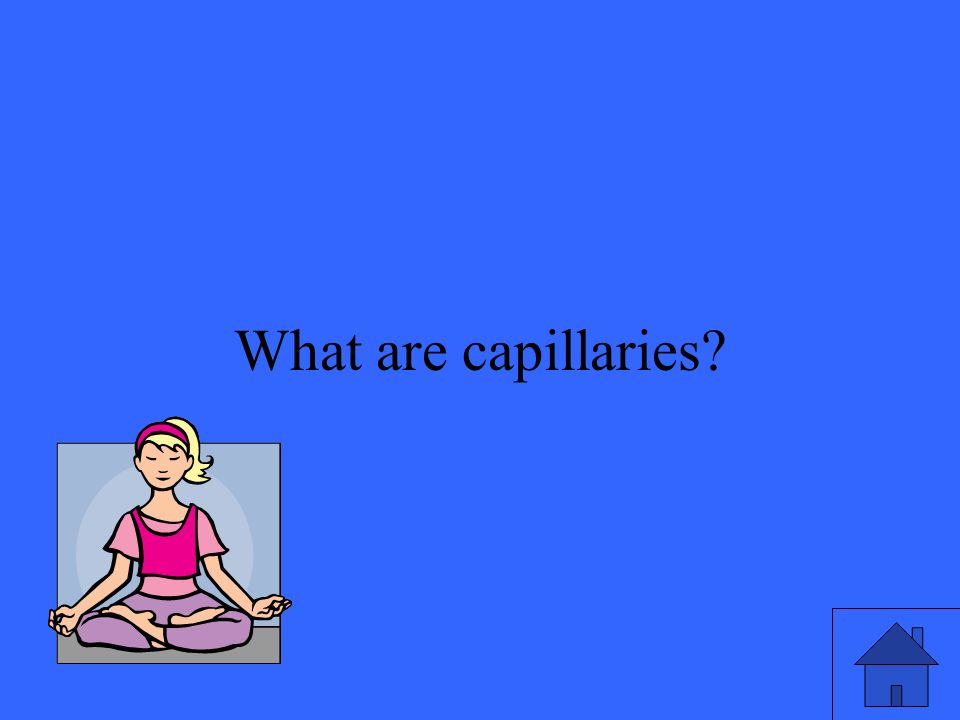 17 What are capillaries