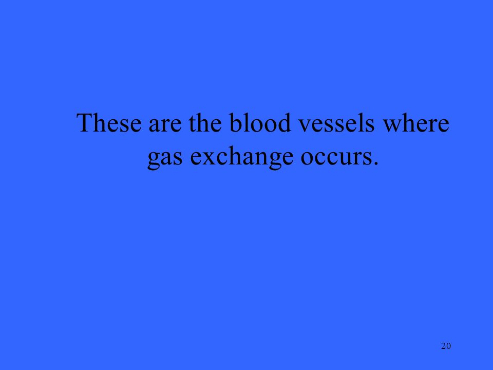 20 These are the blood vessels where gas exchange occurs.