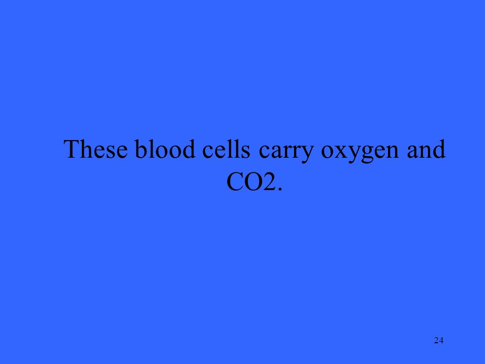 24 These blood cells carry oxygen and CO2.