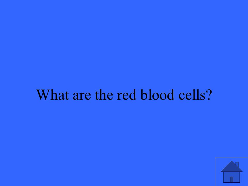 25 What are the red blood cells