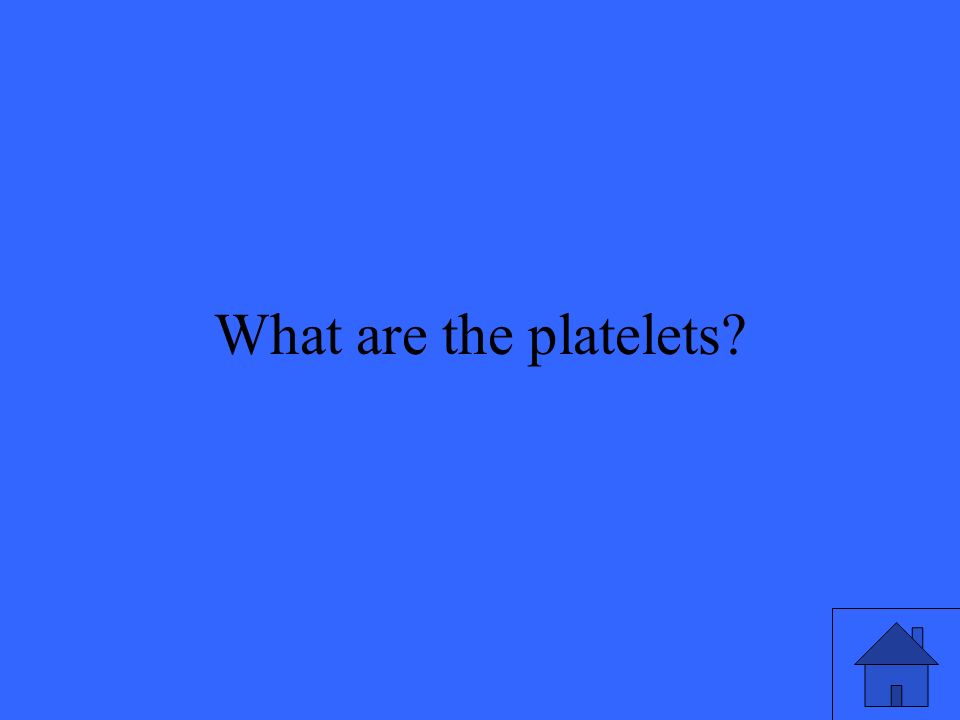 27 What are the platelets