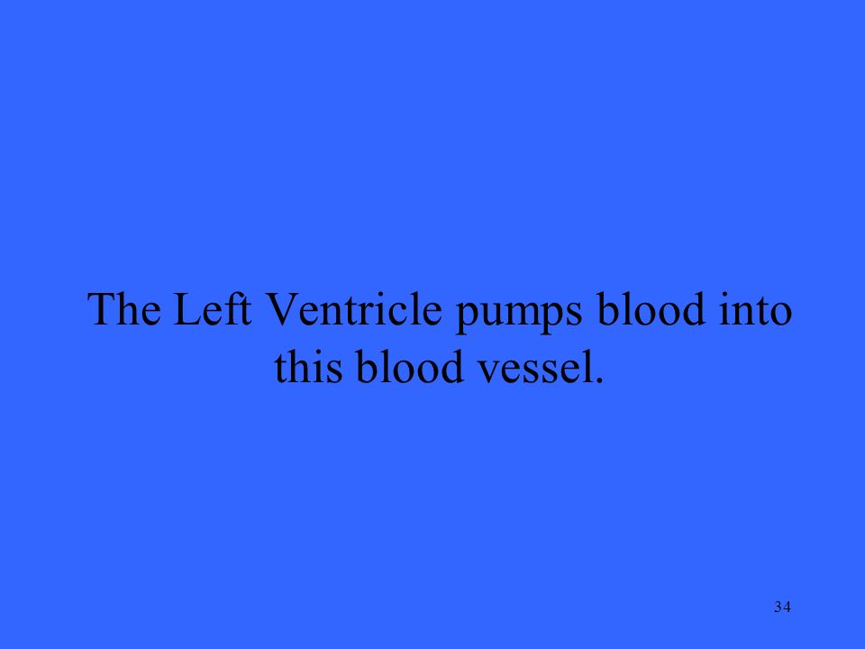 34 The Left Ventricle pumps blood into this blood vessel.