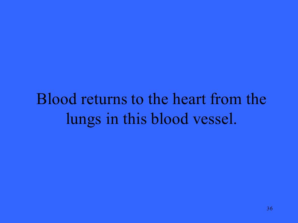 36 Blood returns to the heart from the lungs in this blood vessel.