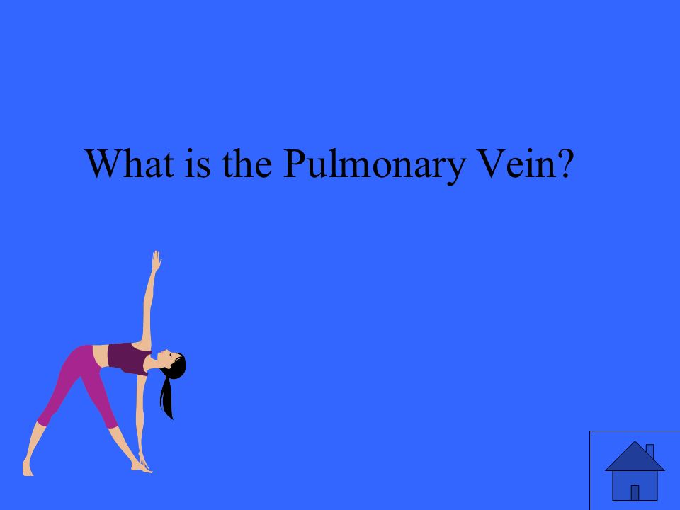 37 What is the Pulmonary Vein