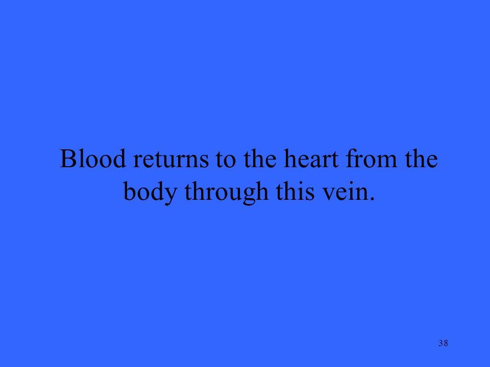 38 Blood returns to the heart from the body through this vein.