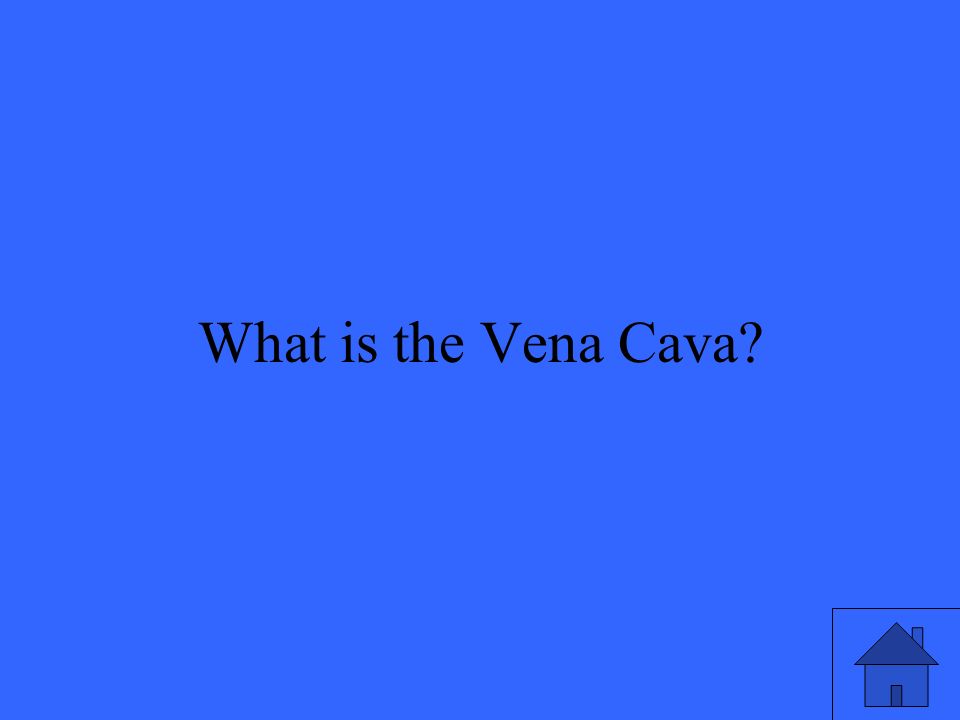39 What is the Vena Cava
