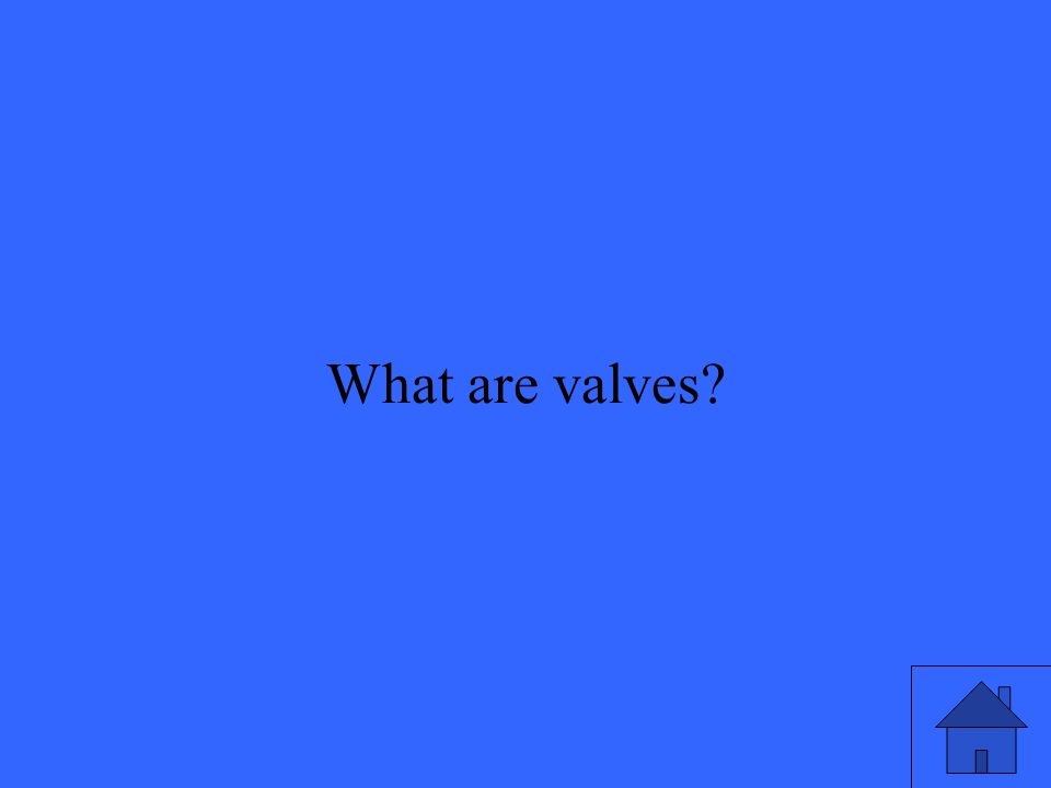 41 What are valves
