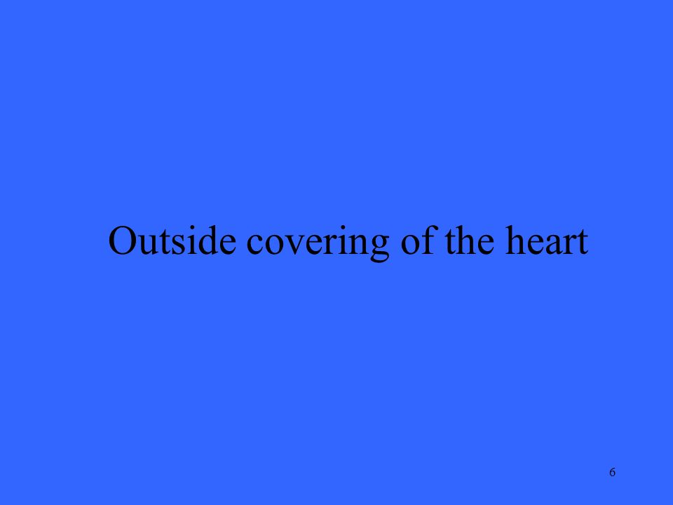 6 Outside covering of the heart