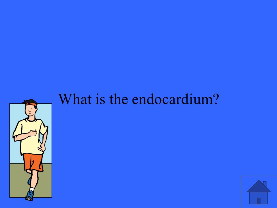 9 What is the endocardium
