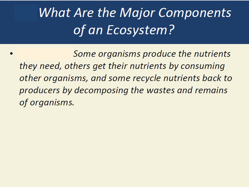 Ecosystems and Food Webs What are the components in an ecosystem