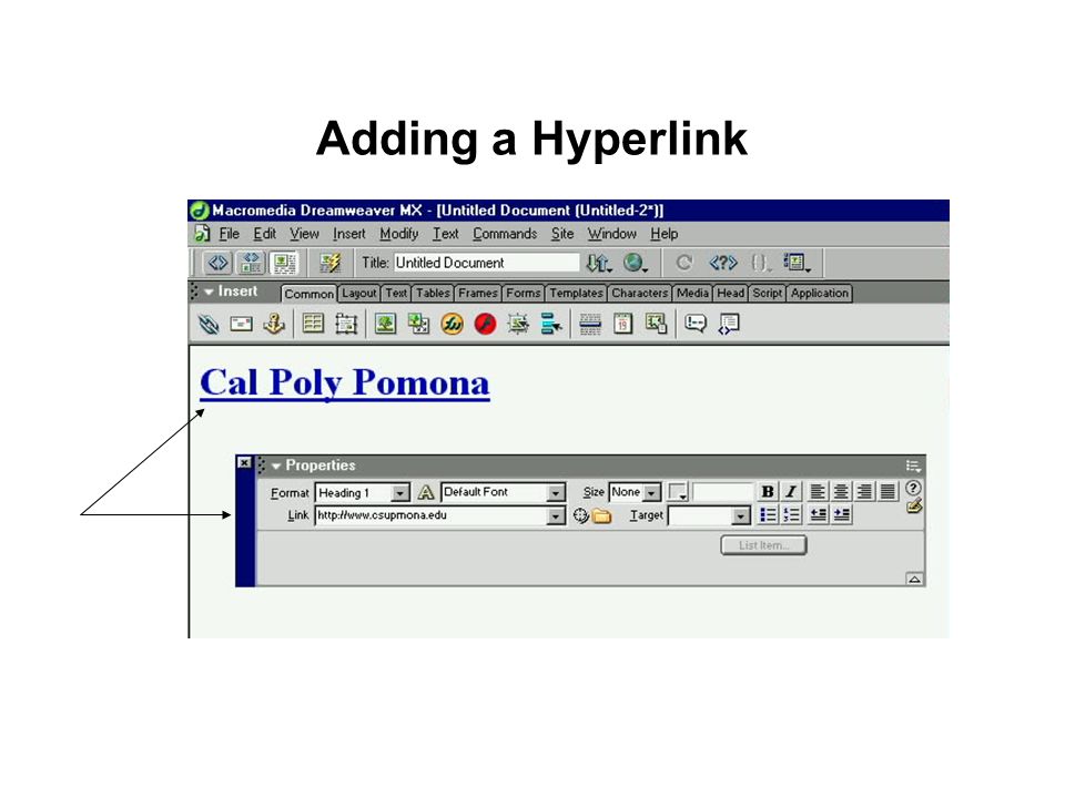 Adding a Hyperlink