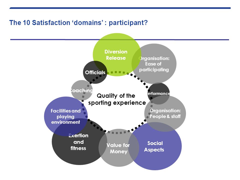 The 10 Satisfaction ‘domains’ : participant.