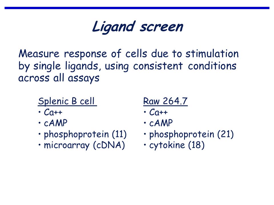 Ligand screen Measure response of cells due to stimulation by single ligands, using consistent conditions across all assays Splenic B cell Ca++ cAMP phosphoprotein (11) microarray (cDNA) Raw Ca++ cAMP phosphoprotein (21) cytokine (18)
