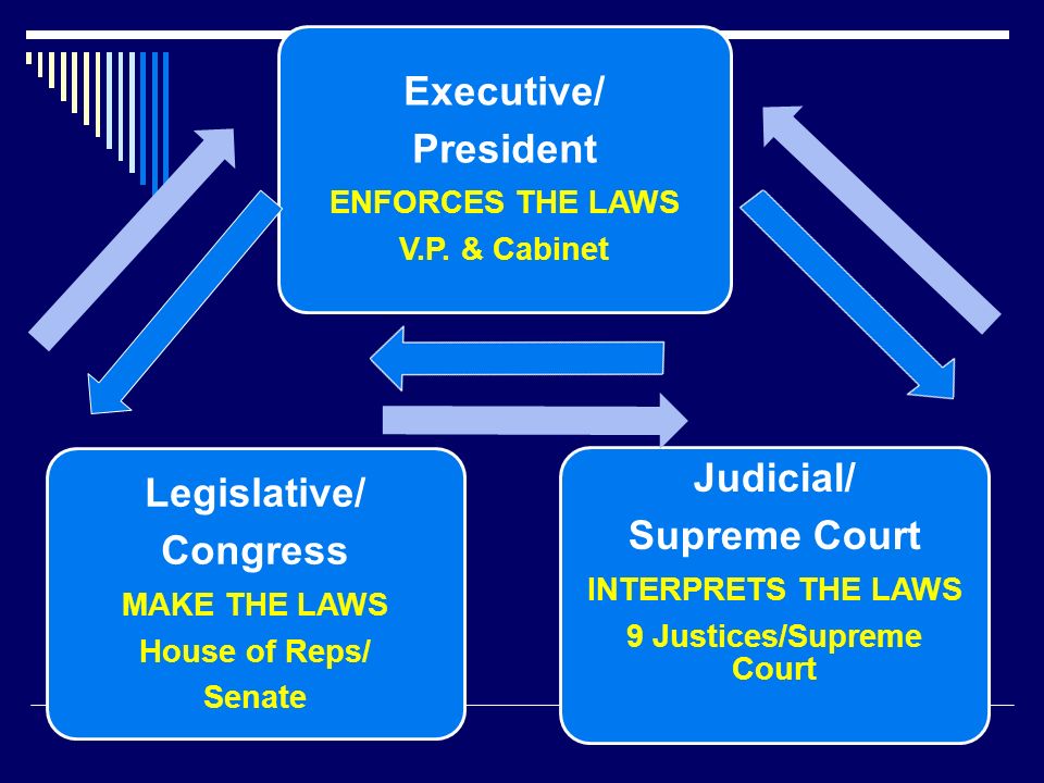 Executive/ President ENFORCES THE LAWS V.P.