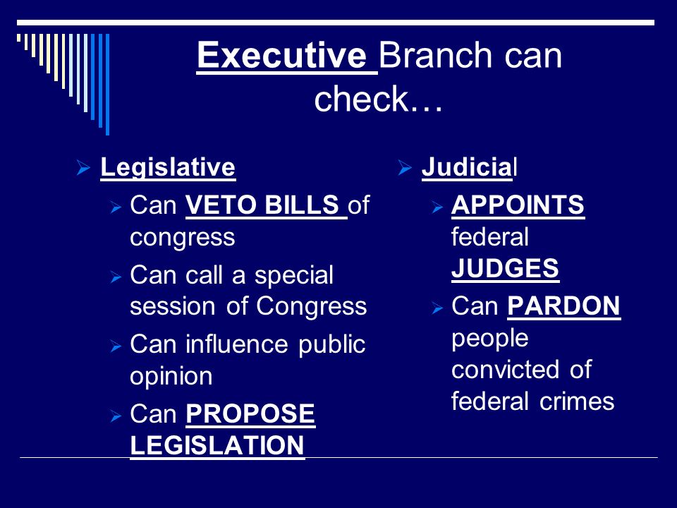 Executive Branch can check…  Legislative  Can VETO BILLS of congress  Can call a special session of Congress  Can influence public opinion  Can PROPOSE LEGISLATION  Judicial  APPOINTS federal JUDGES  Can PARDON people convicted of federal crimes