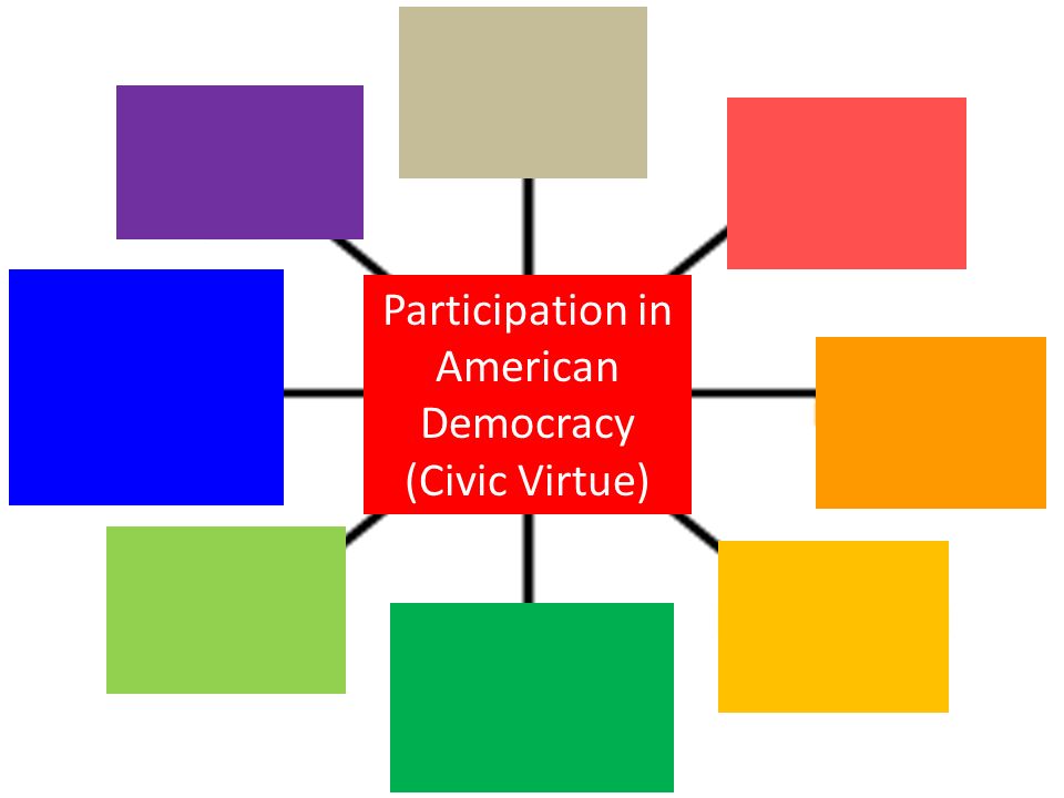 Participation in American Democracy (Civic Virtue)
