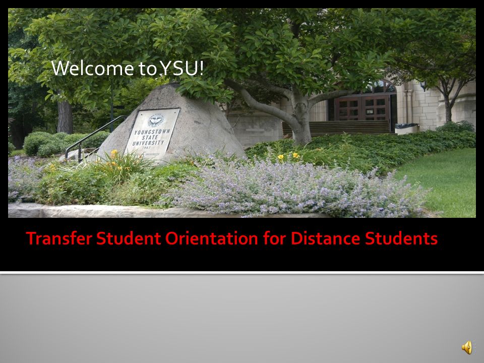 Welcome To Ysu New Transfer Students Must Be Advised And