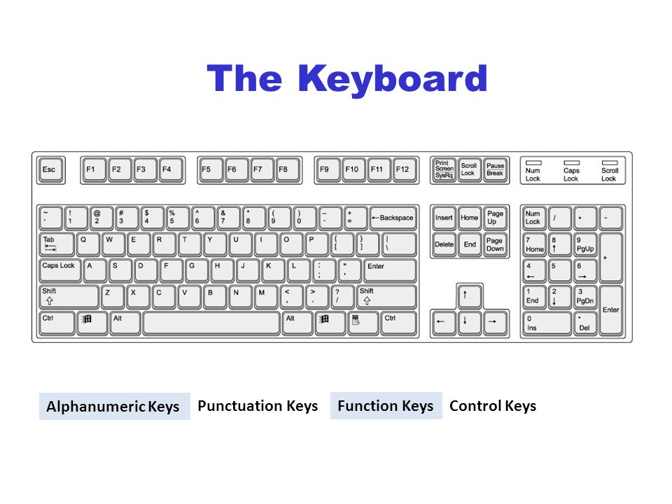The Keyboard Alphanumeric Keys Function KeysPunctuation KeysControl Keys