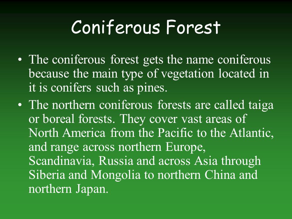 Coniferous Forest The coniferous forest gets the name coniferous because the main type of vegetation located in it is conifers such as pines.